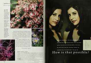 Better Homes & Gardens June 2002 Magazine Article: Page 172