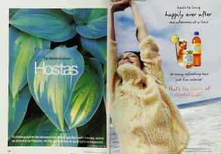 Better Homes & Gardens June 2002 Magazine Article: Page 186