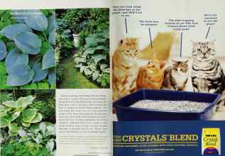 Better Homes & Gardens June 2002 Magazine Article: Page 190