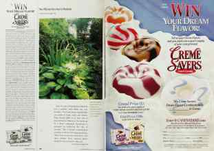 Better Homes & Gardens June 2002 Magazine Article: Page 192