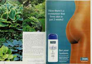 Better Homes & Gardens June 2002 Magazine Article: Page 194