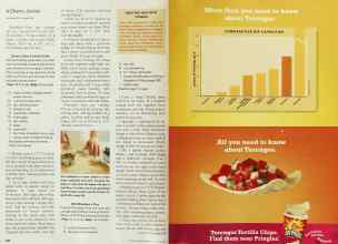 Better Homes & Gardens June 2002 Magazine Article: Page 248