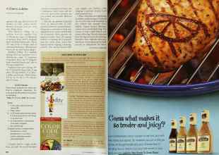 Better Homes & Gardens June 2002 Magazine Article: Page 250