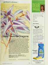 Better Homes & Gardens July 2002 Magazine Article: Here There Be Dragons