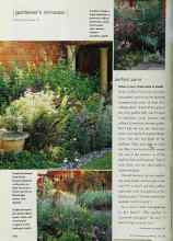 Better Homes & Gardens July 2002 Magazine Article: Silver in sun, chartreuse in shade