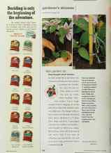 Better Homes & Gardens July 2002 Magazine Article: Deep thoughts about clematis