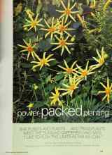 Better Homes & Gardens July 2002 Magazine Article: Power-packed planting