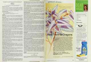 Better Homes & Gardens July 2002 Magazine Article: Page 114