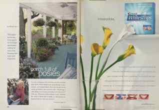 Better Homes & Gardens July 2002 Magazine Article: Page 122