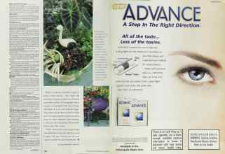 Better Homes & Gardens July 2002 Magazine Article: Page 128