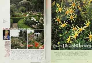 Better Homes & Gardens July 2002 Magazine Article: Page 130