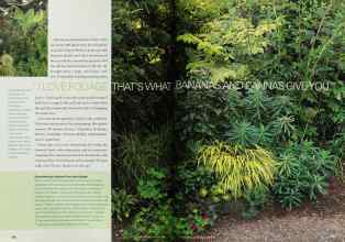 Better Homes & Gardens July 2002 Magazine Article: Page 134