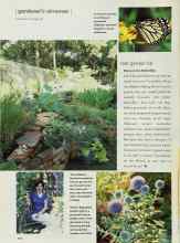 Better Homes & Gardens August 2002 Magazine Article: Test garden tip