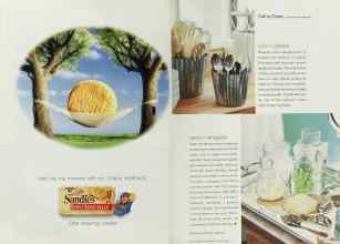 Better Homes & Gardens August 2002 Magazine Article: Page 30