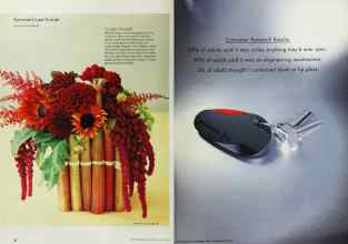 Better Homes & Gardens August 2002 Magazine Article: Page 38