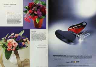 Better Homes & Gardens August 2002 Magazine Article: Page 40