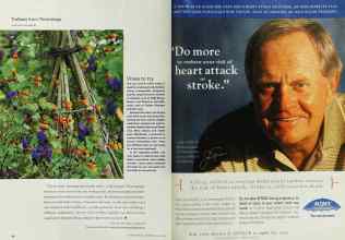 Better Homes & Gardens August 2002 Magazine Article: Page 54