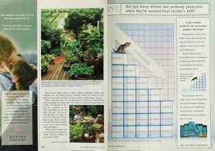 Better Homes & Gardens August 2002 Magazine Article: Page 100