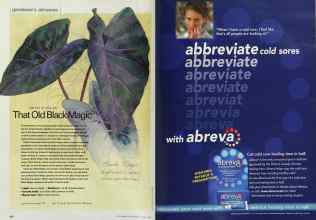 Better Homes & Gardens August 2002 Magazine Article: Page 108