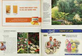 Better Homes & Gardens August 2002 Magazine Article: Perfect pairs