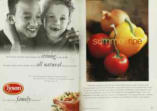 Better Homes & Gardens August 2002 Magazine Article: Page 156