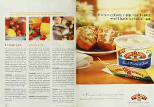 Better Homes & Gardens August 2002 Magazine Article: Page 164