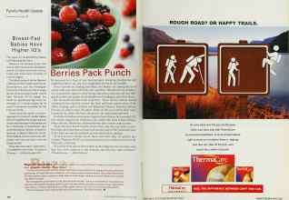 Better Homes & Gardens August 2002 Magazine Article: Page 194