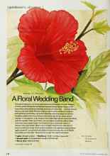 Better Homes & Gardens September 2002 Magazine Article: A Floral Wedding Band