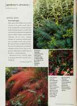 Better Homes & Gardens September 2002 Magazine Article: On the Road Again