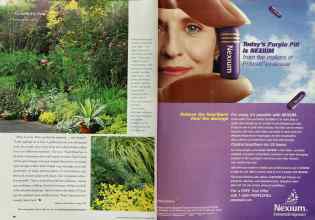 Better Homes & Gardens September 2002 Magazine Article: Page 96