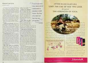Better Homes & Gardens September 2002 Magazine Article: Page 104