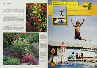 Better Homes & Gardens September 2002 Magazine Article: Page 132