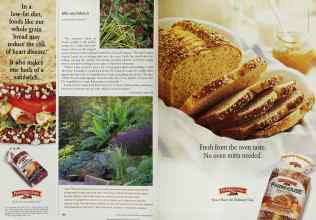 Better Homes & Gardens September 2002 Magazine Article: Page 134