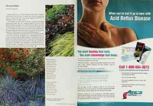 Better Homes & Gardens September 2002 Magazine Article: Page 136