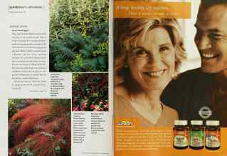 Better Homes & Gardens September 2002 Magazine Article: Page 142