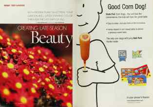 Better Homes & Gardens October 2002 Magazine Article: Page 48