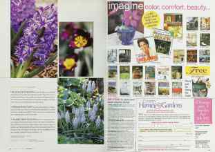 Better Homes & Gardens October 2002 Magazine Article: Page 136