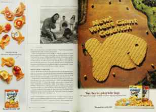 Better Homes & Gardens October 2002 Magazine Article: Page 148