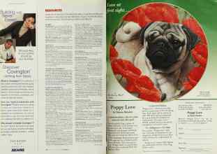 Better Homes & Gardens October 2002 Magazine Article: Page 280