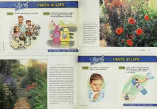 Better Homes & Gardens November 2002 Magazine Article: Page 38