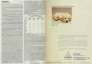 Better Homes & Gardens November 2002 Magazine Article: Page 50