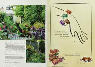 Better Homes & Gardens November 2002 Magazine Article: Page 176