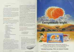 Better Homes & Gardens November 2002 Magazine Article: Page 204