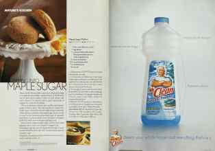 Better Homes & Gardens November 2002 Magazine Article: Page 234