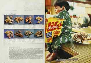 Better Homes & Gardens November 2002 Magazine Article: Page 250