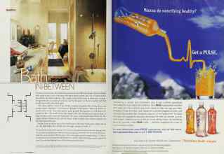 Better Homes & Gardens November 2002 Magazine Article: Page 262