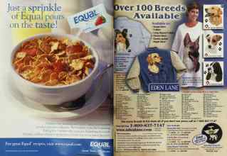 Better Homes & Gardens December 2002 Magazine Article: Page 228