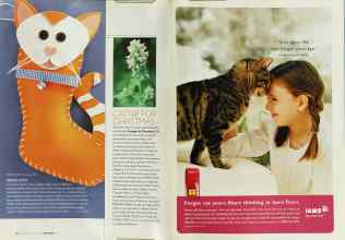 Better Homes & Gardens December 2002 Magazine Article: Page 234