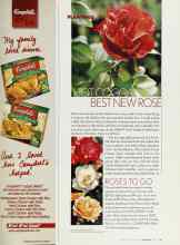 Better Homes & Gardens January 2003 Magazine Article: BEST NEW ROSE