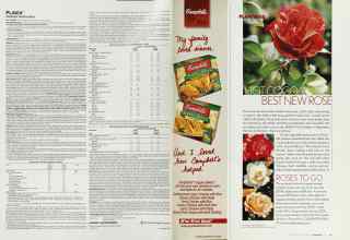 Better Homes & Gardens January 2003 Magazine Article: Page 58